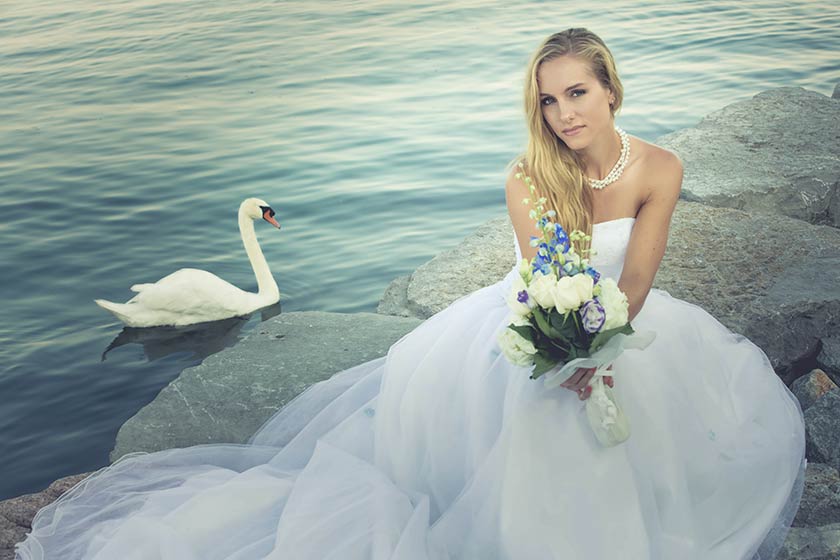 T.O. Wedding Photo featured photo